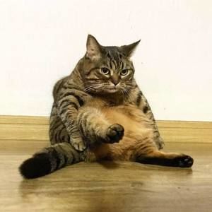 Meet your Posher, June